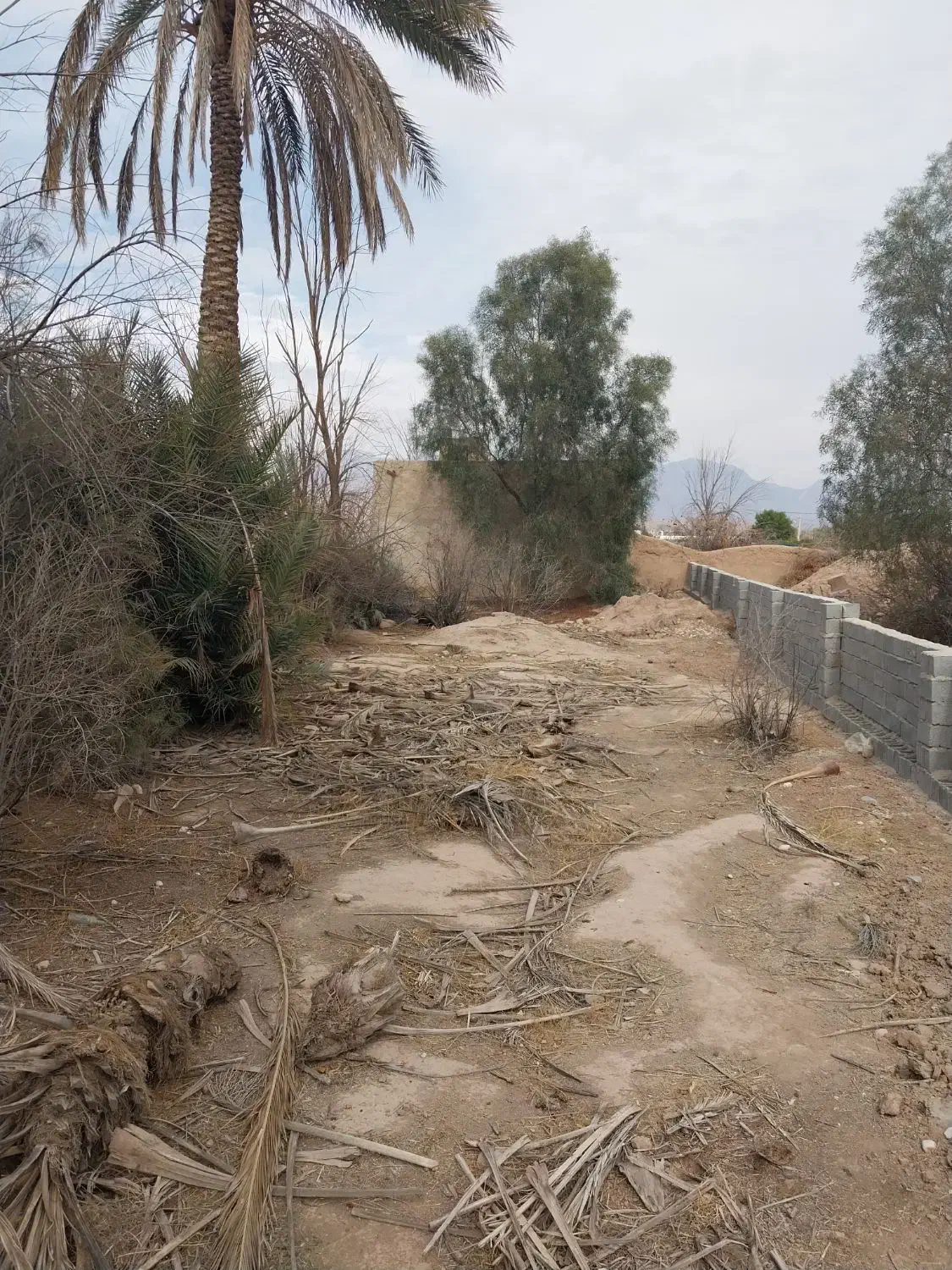 فروش خانه و زمین  در روستای بختاجرد|فروش خانه و ویلا|داراب, |دیوار