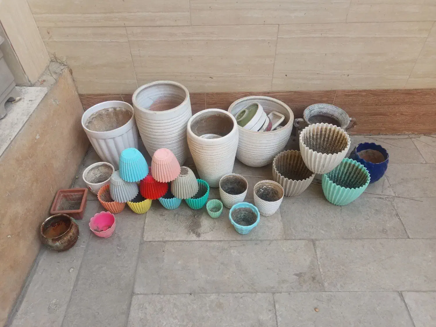 ۳۵عدد گلدان|گل و گیاه طبیعی|محمدشهر, سیدآباد|دیوار