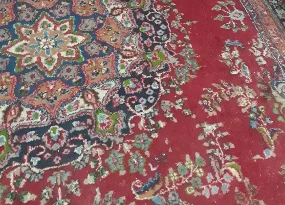 فرش دست بافت|فرش|سبزوار, پاسداران|دیوار