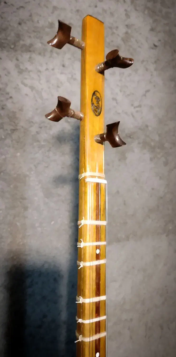 سه تار قادری|سازهای سنتی|تهران, فتح|دیوار