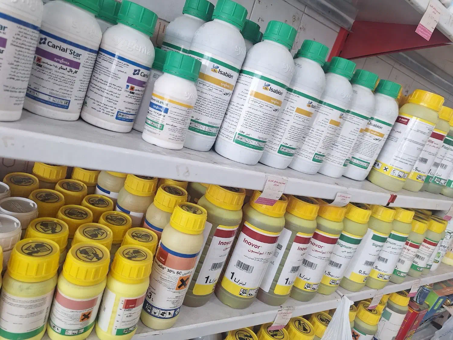 انواع سم،کود،بذر و سمپاش ایرانی و خارجی|خدمات باغبانی و درختکاری|بندرعباس, |دیوار