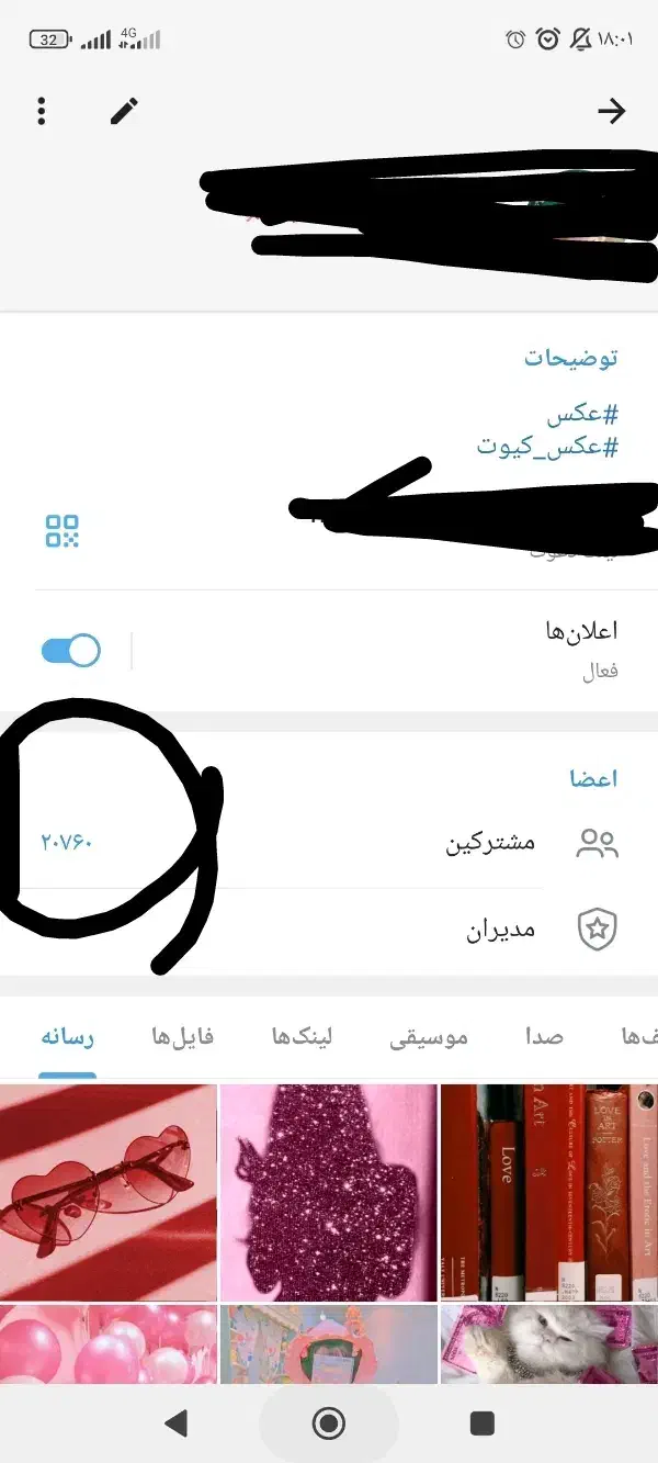 چنل 20000 عضوه روبیکا / کانال روبیکا|لوازم جانبی موبایل و تبلت|قم, میرزائیه|دیوار