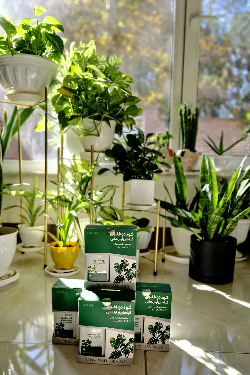 بهترین وجامع ترین کود برای گیاهان آپارتمانی|گل و گیاه طبیعی|ورامین, ورامین|دیوار