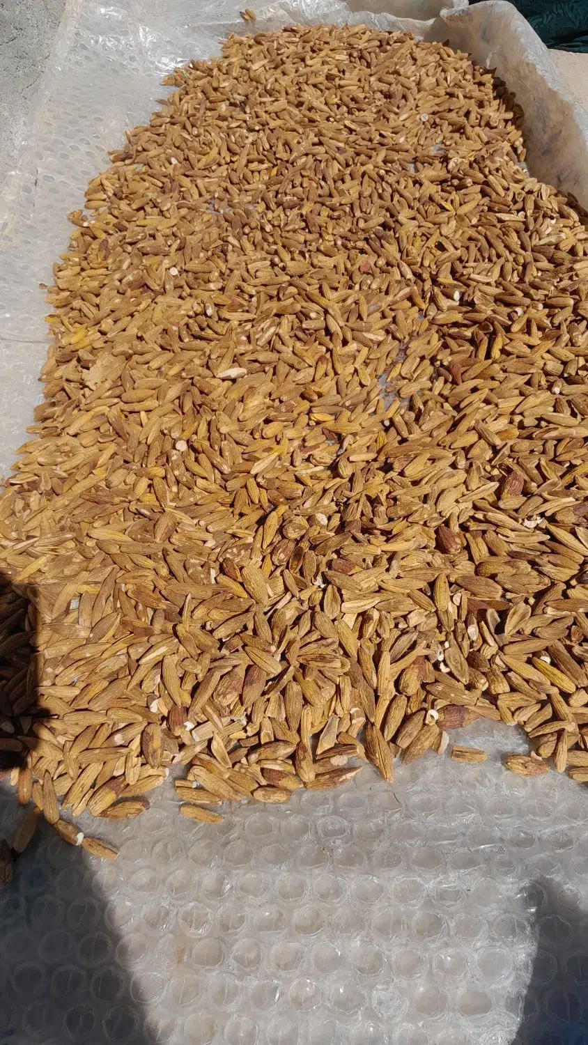 بلوط پاک شده-برای کلگ|خوردنی و آشامیدنی|سرفاریاب, |دیوار