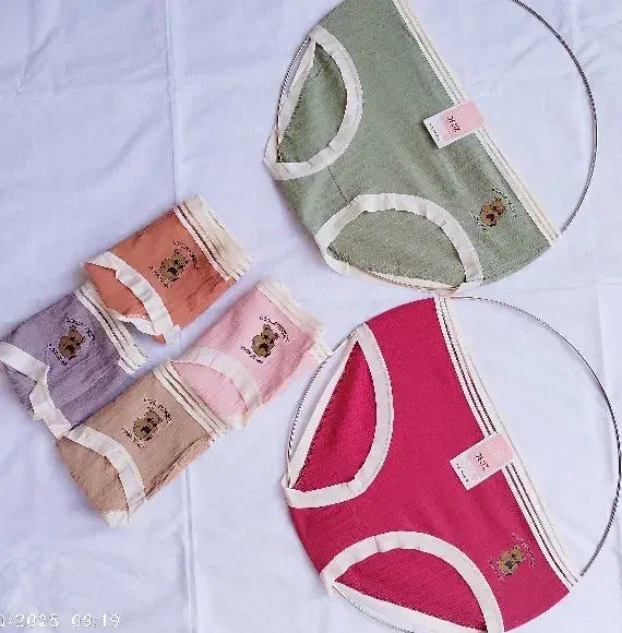 لباس زیر زنانه|لباس|شاندیز, |دیوار