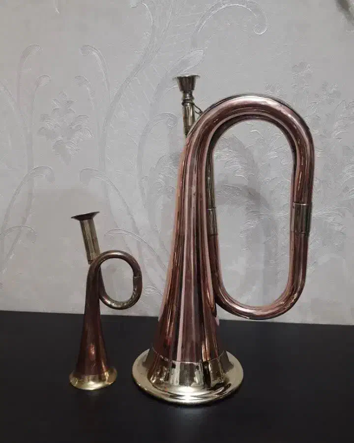 یک جفت شیپور برنزی ،نوستالژی،آک،قدیمی،|سازهای بادی|پاکدشت, پاکدشت (مامازند)|دیوار