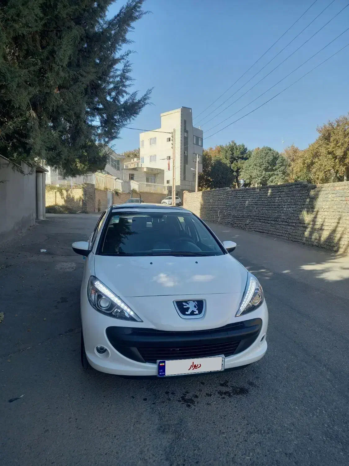 207 پانا مدل ۴۰۳|خودرو سواری و وانت|شاهرود, |دیوار