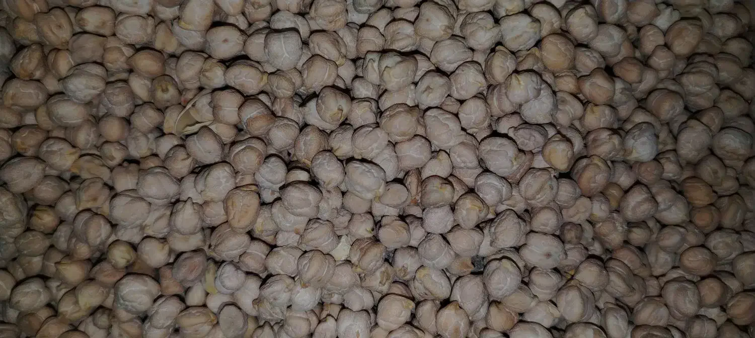 نخود اعلا کرمانشاه|خوردنی و آشامیدنی|اندیشه, اندیشه فاز ۱|دیوار