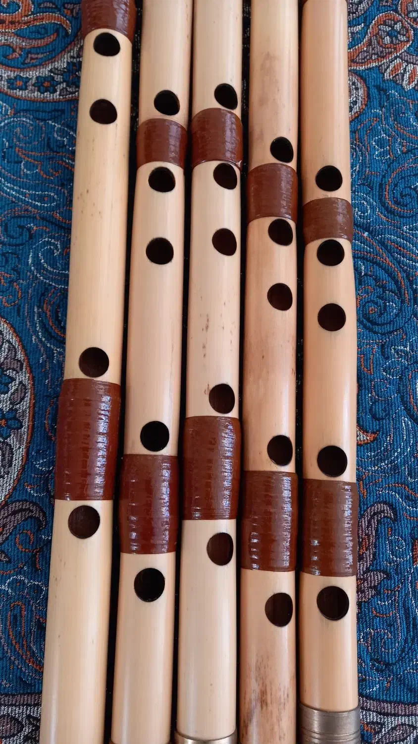 تعدادی ساز نی|سازهای بادی|اصفهان, چرخاب|دیوار