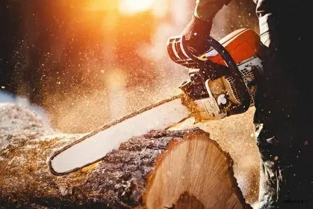 خرید و برش انواع درخت|خدمات باغبانی و درختکاری|نقده, |دیوار