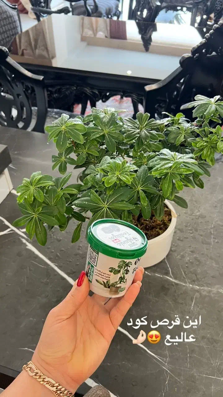 قرص کود|گل و گیاه طبیعی|نائین, |دیوار