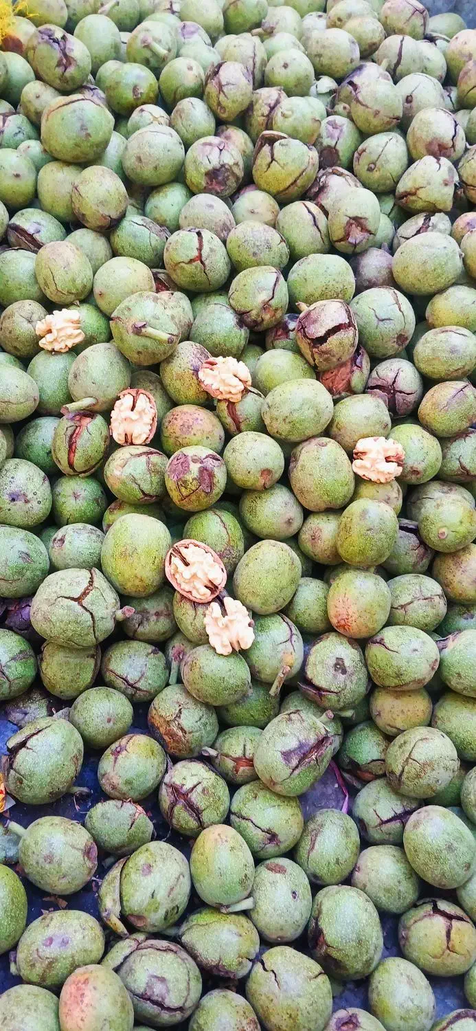 گردوی پوست سبز تازه تویسرکان پوست نازک|خوردنی و آشامیدنی|کوهسار (البرز), |دیوار