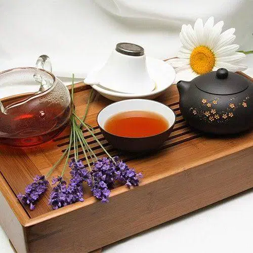 چای پذیرایی کیسه ای ارل گری سیاه کرن بری نیوشا پک|خوردنی و آشامیدنی|تهران, سهروردی|دیوار
