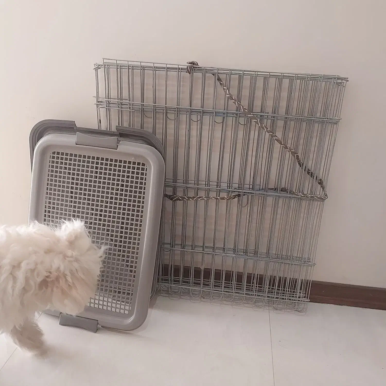 پارک فلزی سگ کوچولو بعلاوه سینی ادرار تقریبا نو|لوازم جانبی حیوانات|کرج, کوی امامیه|دیوار