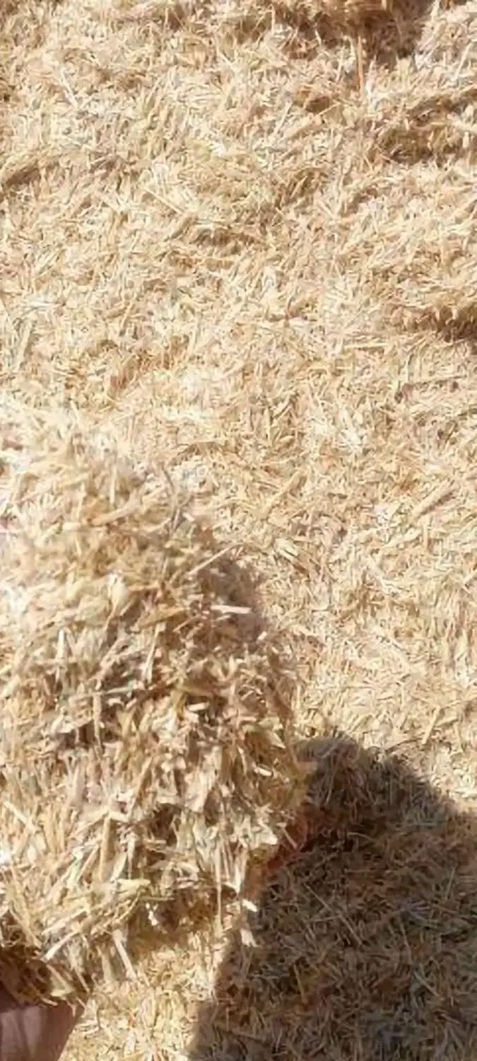 کاه درجه۱ کاهکوب|لوازم جانبی حیوانات|بیله سوار, |دیوار