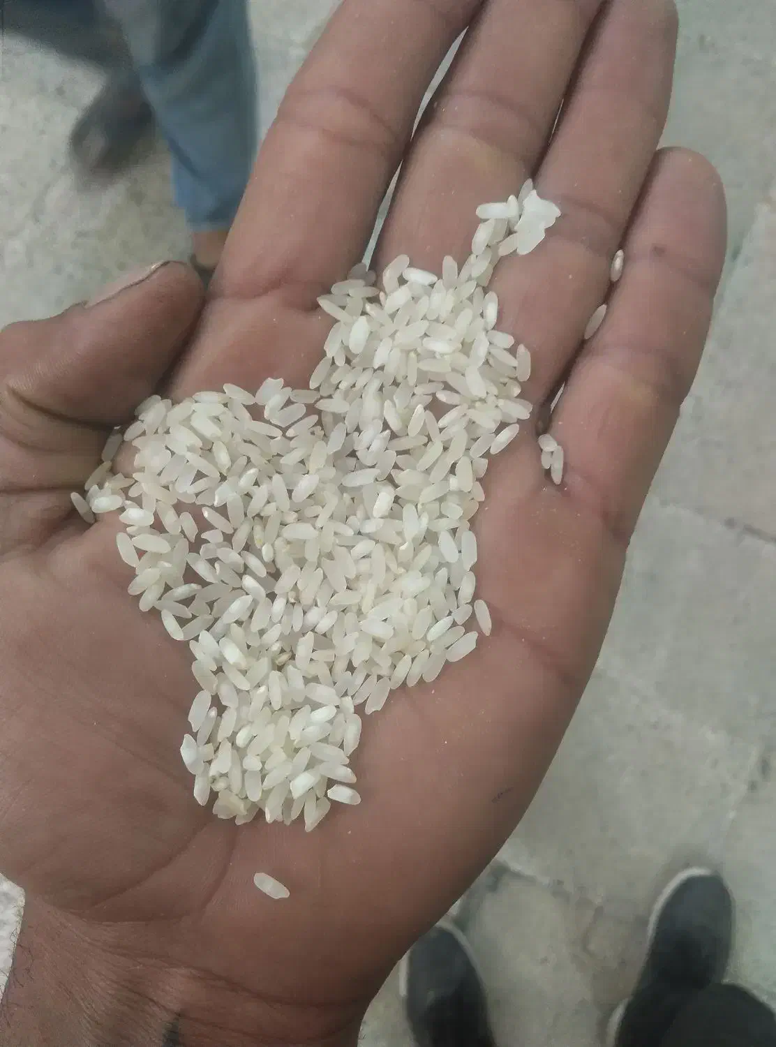 پخش برنج محلی|حراج|اقلید, |دیوار