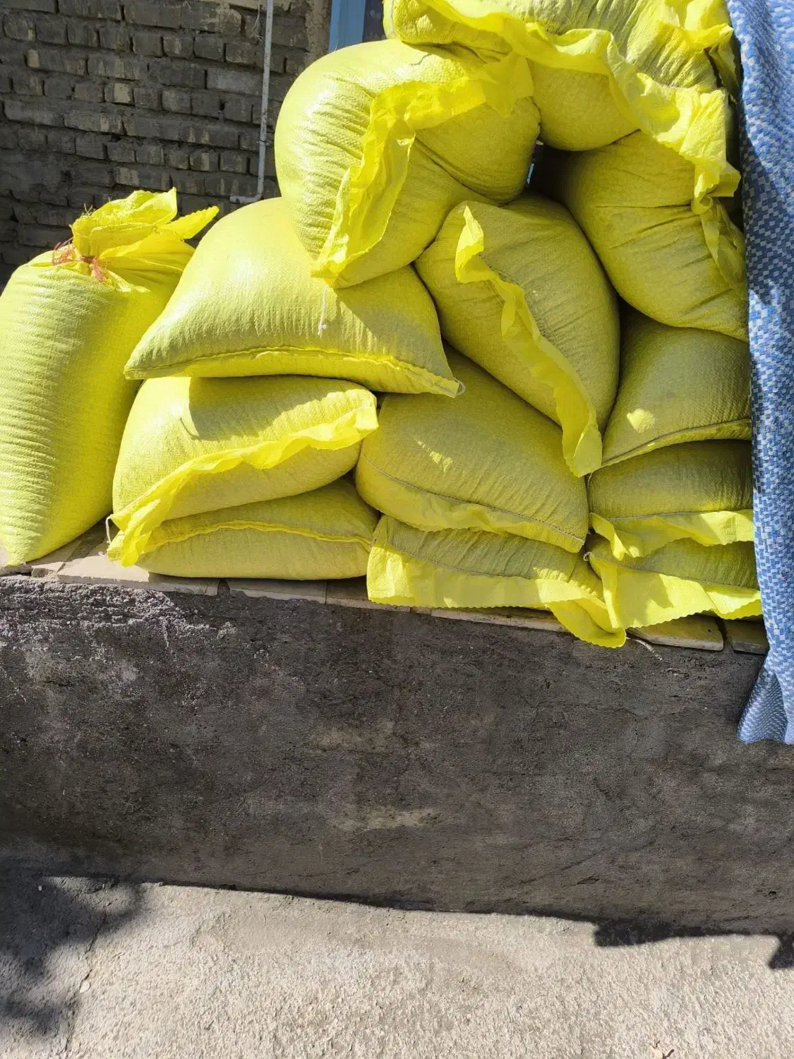 لوبیا سفید درجه یک ،بوجاری شده ،لیزر|خوردنی و آشامیدنی|نهاوند, |دیوار