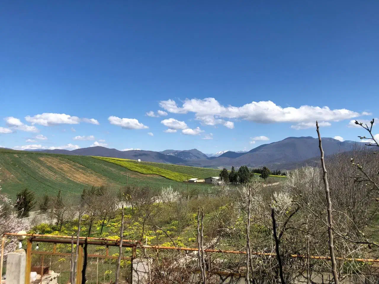 فروش زمین سنددار ساری آب برق گاز|فروش زمین و ملک کلنگی|فریم, |دیوار