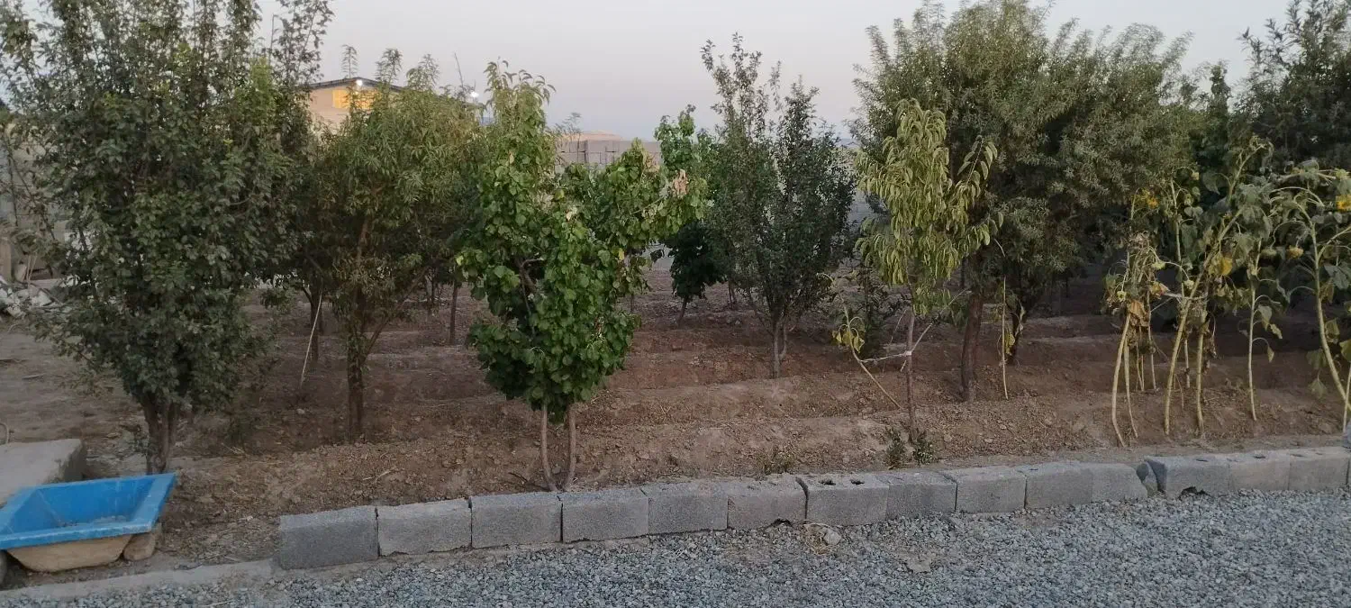 ۴۰۰ متر باغچه ۵۰متربناا معاوضه باخودرو تصادفی واحد|فروش خانه و ویلا|محمدشهر, عباس آباد|دیوار