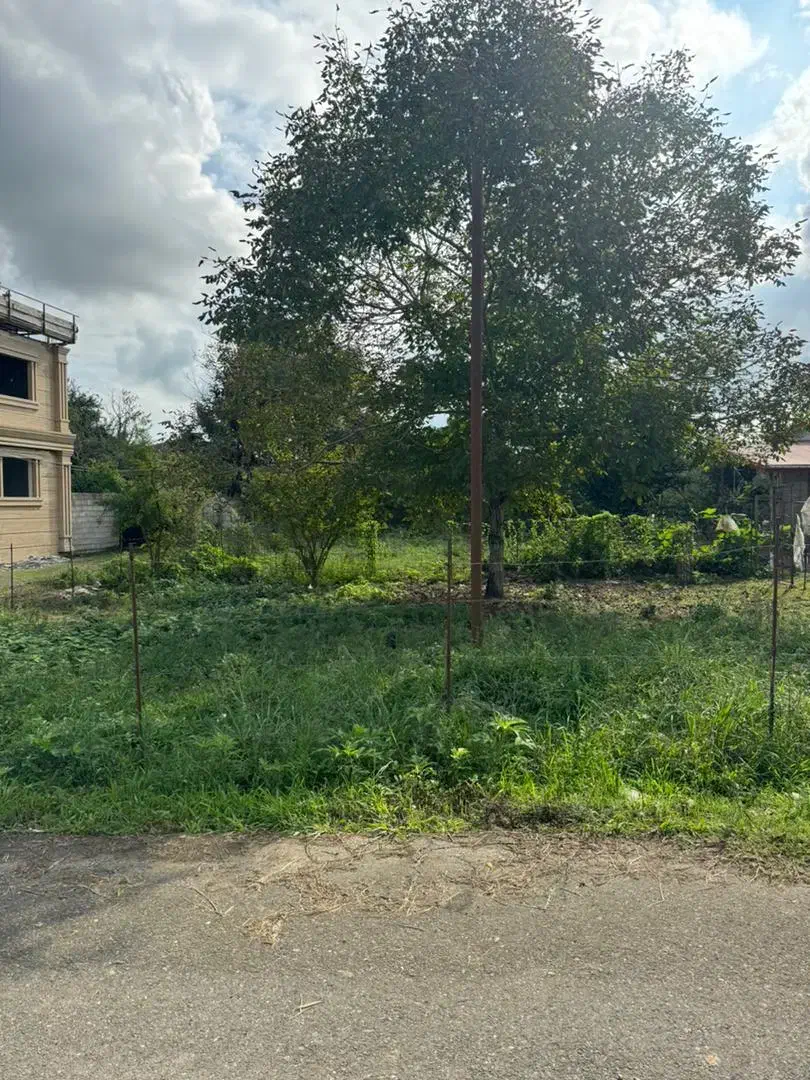 ۲۱۴ متر پروانه دار سه بر جای  لوکس|فروش زمین و ملک کلنگی|املش, |دیوار