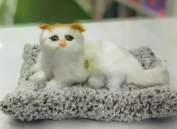 گربه های موزیکال|اسباب‌بازی بچه|یزد, |دیوار