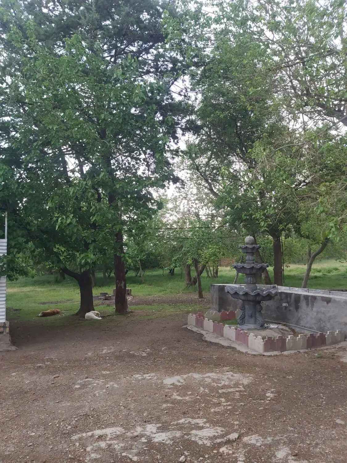 سوییت منزل|اجارهٔ کوتاه‌مدت آپارتمان و سوئیت|بیستون, |دیوار