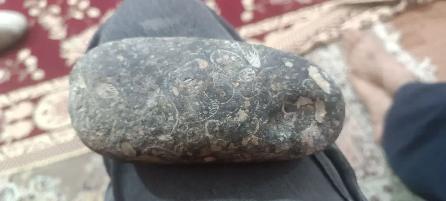 شهابسنگ|کلکسیون اشیاء عتیقه|تهران, منیریه|دیوار