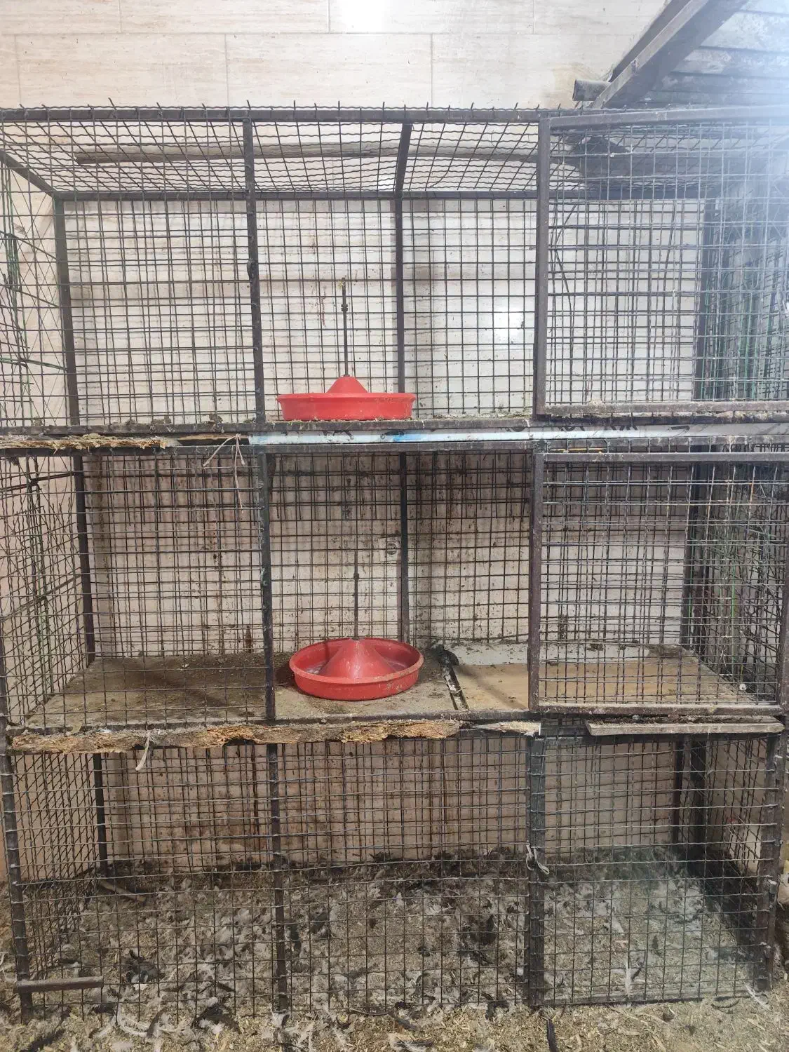 قفس آهنی سبد مرغی،فروشی|فروشگاه و مغازه|محمدشهر, علی آباد گونه|دیوار