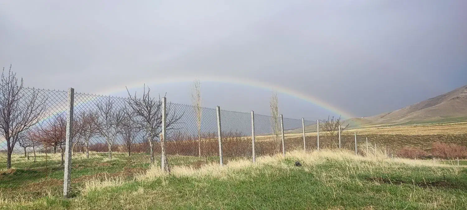 فروش باغ 2700متری ویهج ، جاده مابین ویهج و سراب|فروش دفتر صنعتی، کشاورزی، تجاری|قروه, |دیوار