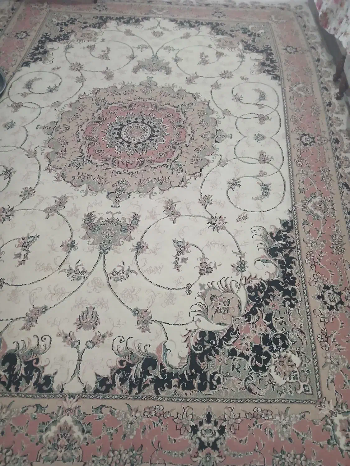 فرش ۹متری|فرش|رشت, دیلمان|دیوار