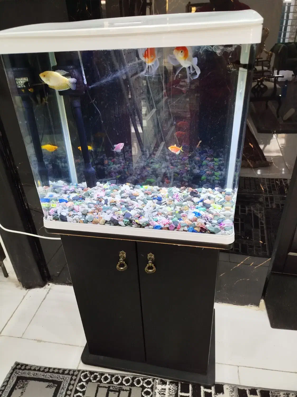 آکواریوم کمدی در حد نو سالم|ماهی|زابل, |دیوار