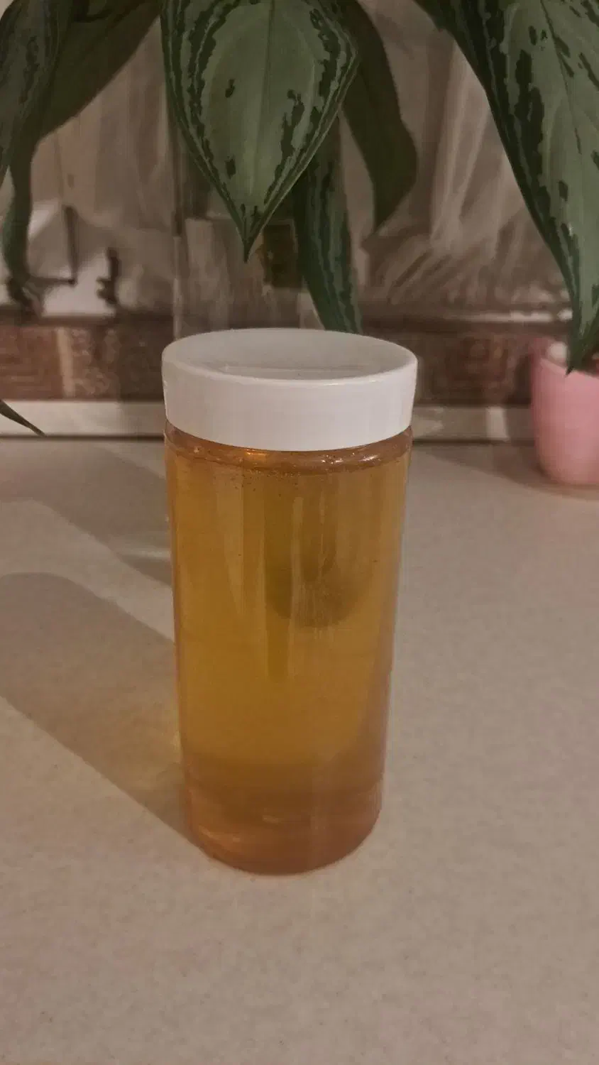 عسل اصل ب شرط با خواص درمانی برای معده 1کیلو|خوردنی و آشامیدنی|تهران, میرداماد|دیوار