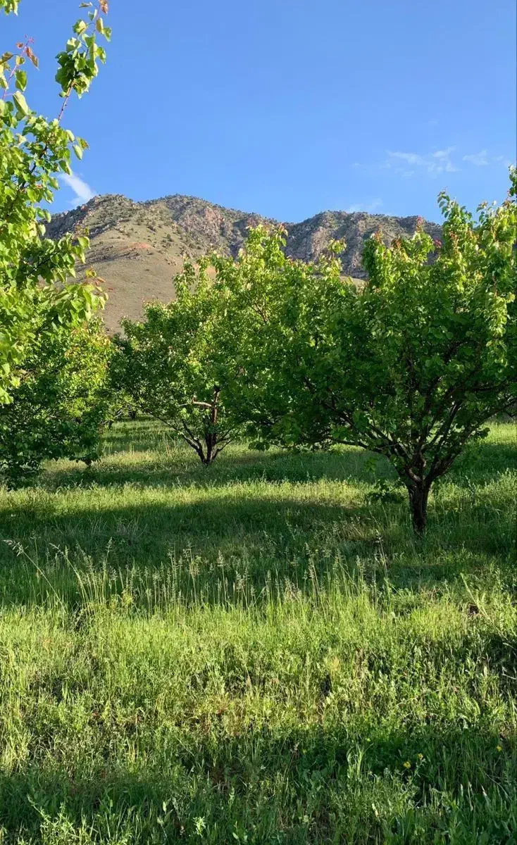 فروش باغ چهارمحال و بختیاری|فروش زمین و ملک کلنگی|بابا حیدر, |دیوار