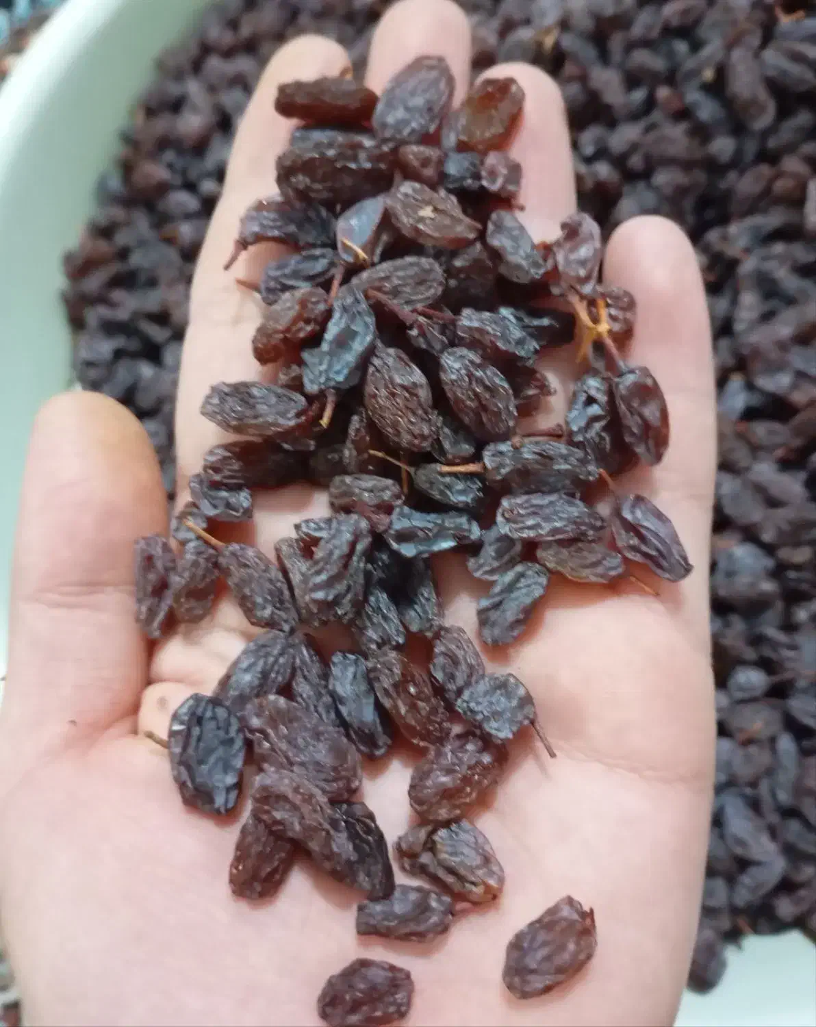 کشمش انگور قرمز کشمش بیدانه|خوردنی و آشامیدنی|ارومیه, |دیوار