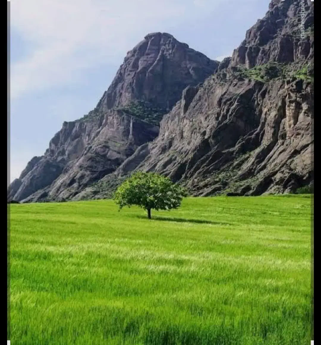 فروش زمین ۵۰۰۰ متری در جاده علی آبادنیزار|فروش زمین و ملک کلنگی|قم, بوستان علوی|دیوار