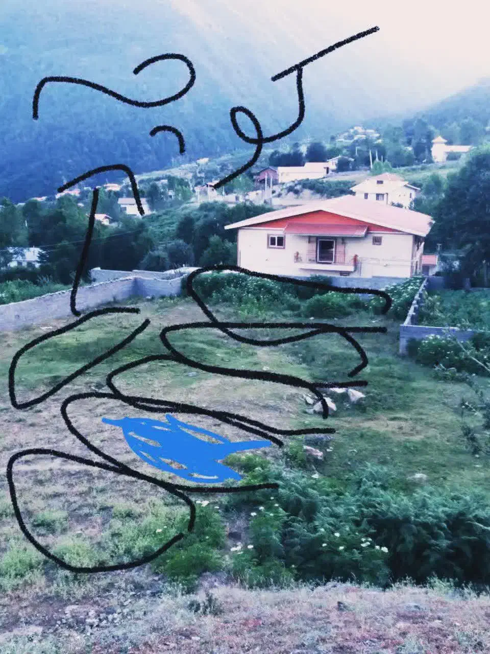 زمین بافت مسکونی زیر قیمت|فروش زمین و ملک کلنگی|آلاشت, |دیوار