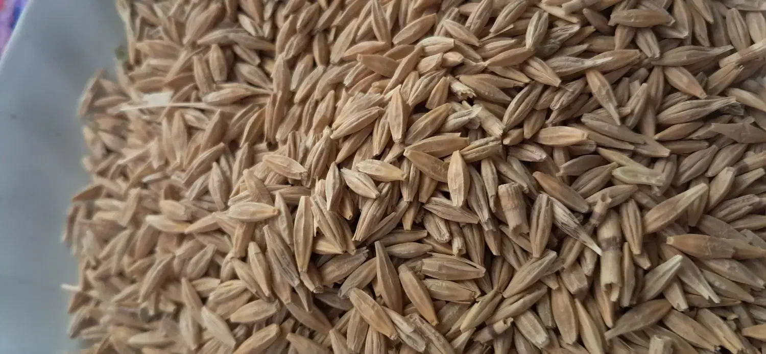 جوی دیم|عمدهفروشی|کبودرآهنگ, |دیوار