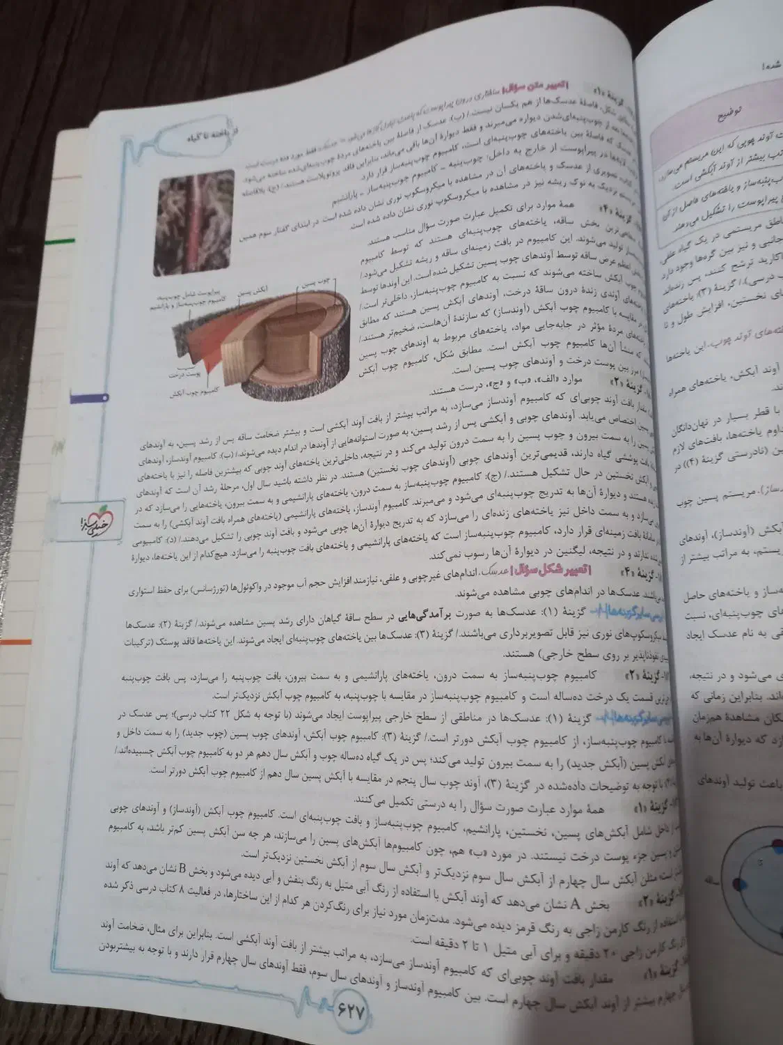 زیست دهم خیلی سبز|کتاب و مجله آموزشی|رشت, پاره بیجار|دیوار