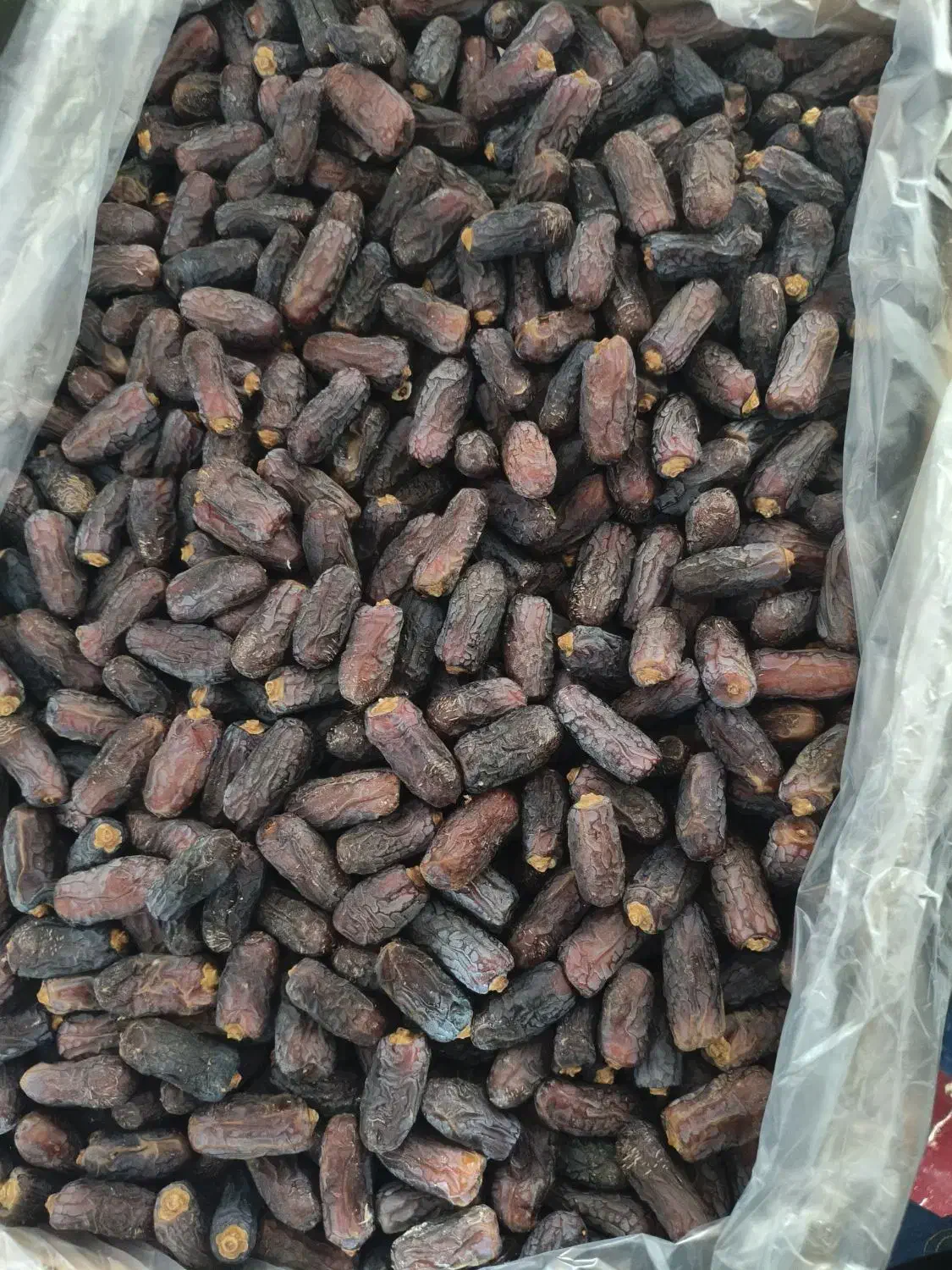 خرما|عمده‌فروشی|سیرجان, |دیوار