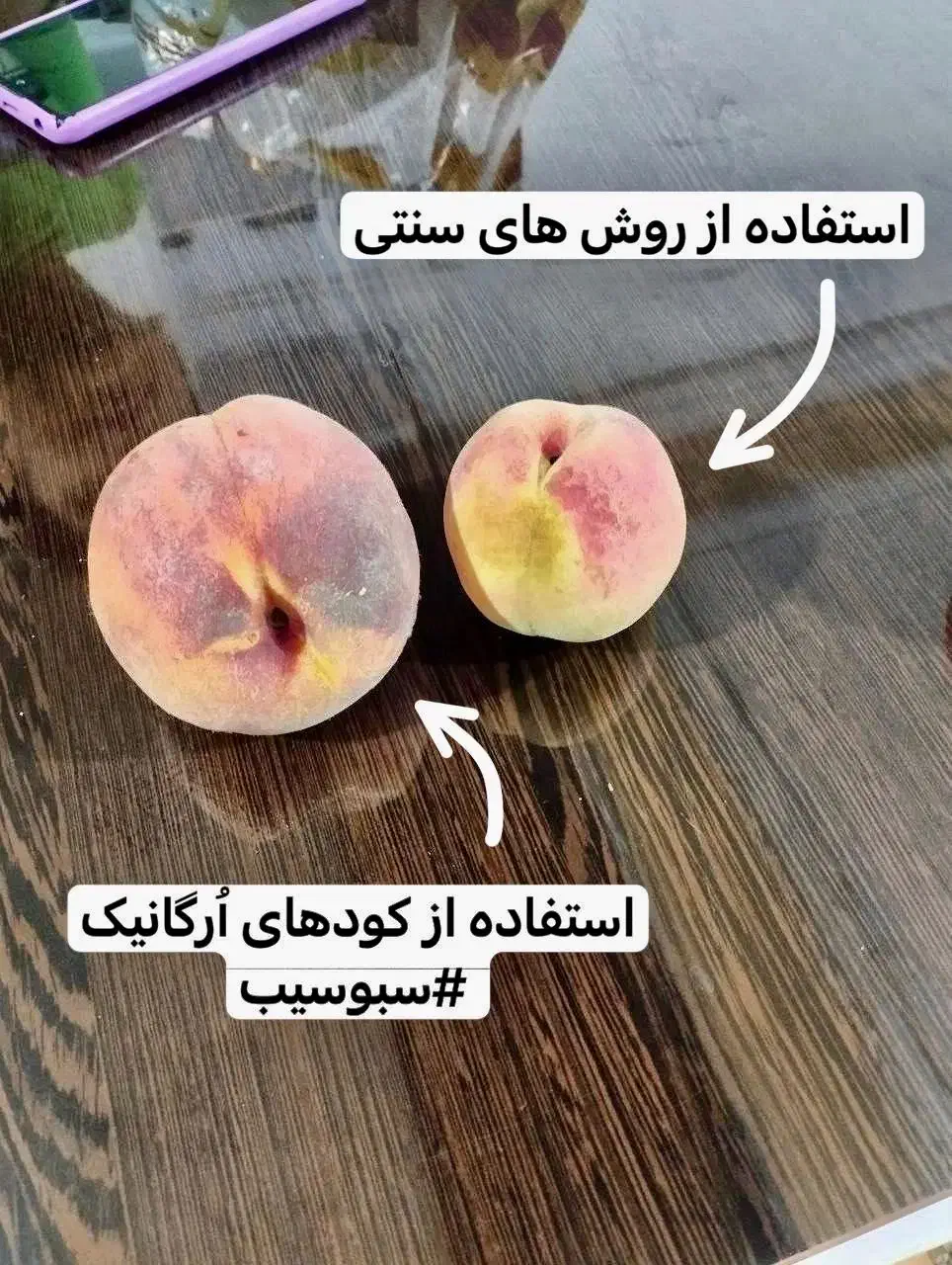 چالکود اصولی با کود کامل ارگانیک|خدمات باغبانی و درختکاری|قروه, |دیوار