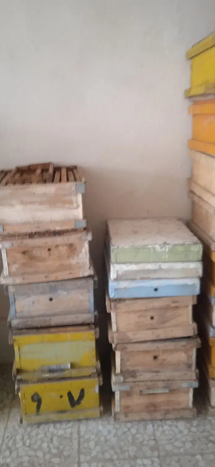 کندو زنبور|لوازم جانبی حیوانات|خرم‌آباد, |دیوار