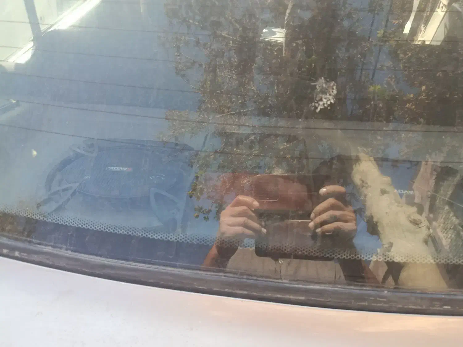 پراید مدل 84|خودرو سواری و وانت|مشهد, گوهرشاد|دیوار