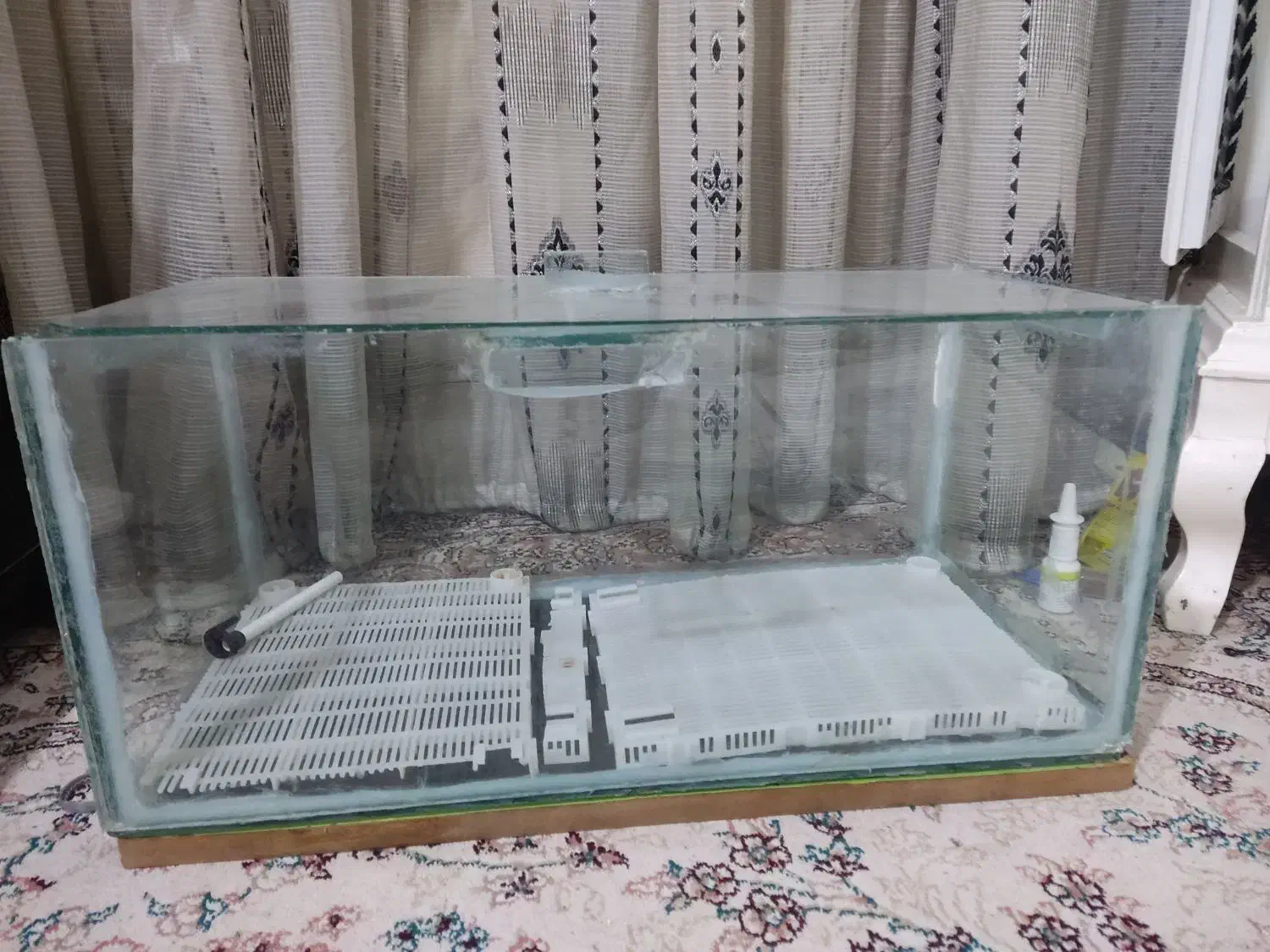 آکواریوم|ماهی|مرودشت, ژیان|دیوار