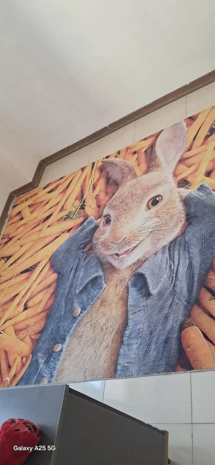 فرش اتاق کودک|فرش|رباط‌کریم, رباط‌کریم|دیوار