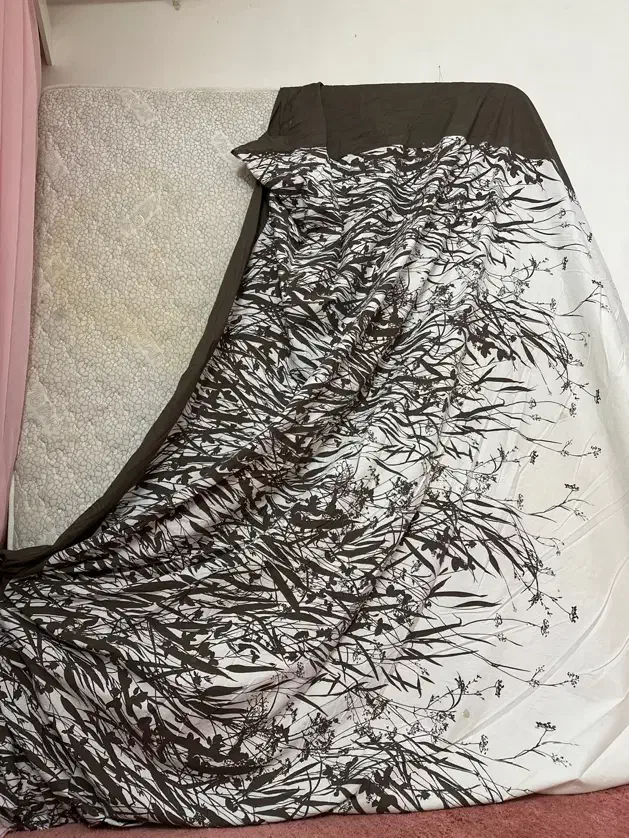 تشک تخت دونفره فنری|تشک تختخواب|گنبد کاووس, |دیوار