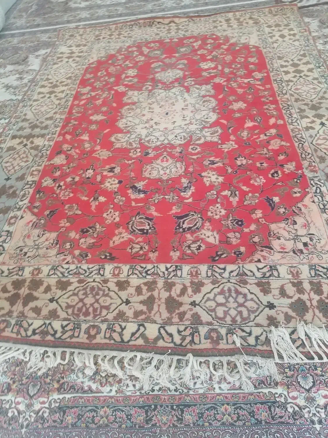 قالی ابریشمی|فرش|ایذه, |دیوار