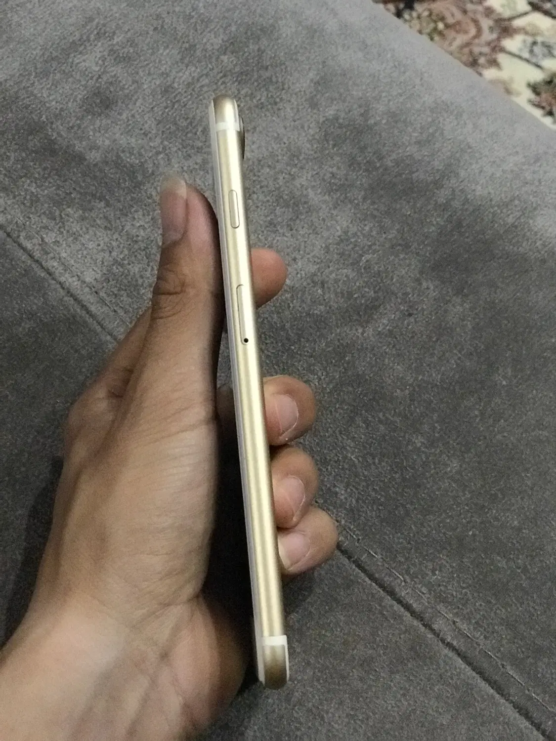 iPhone 7plus|موبایل|مشهد, نوید|دیوار