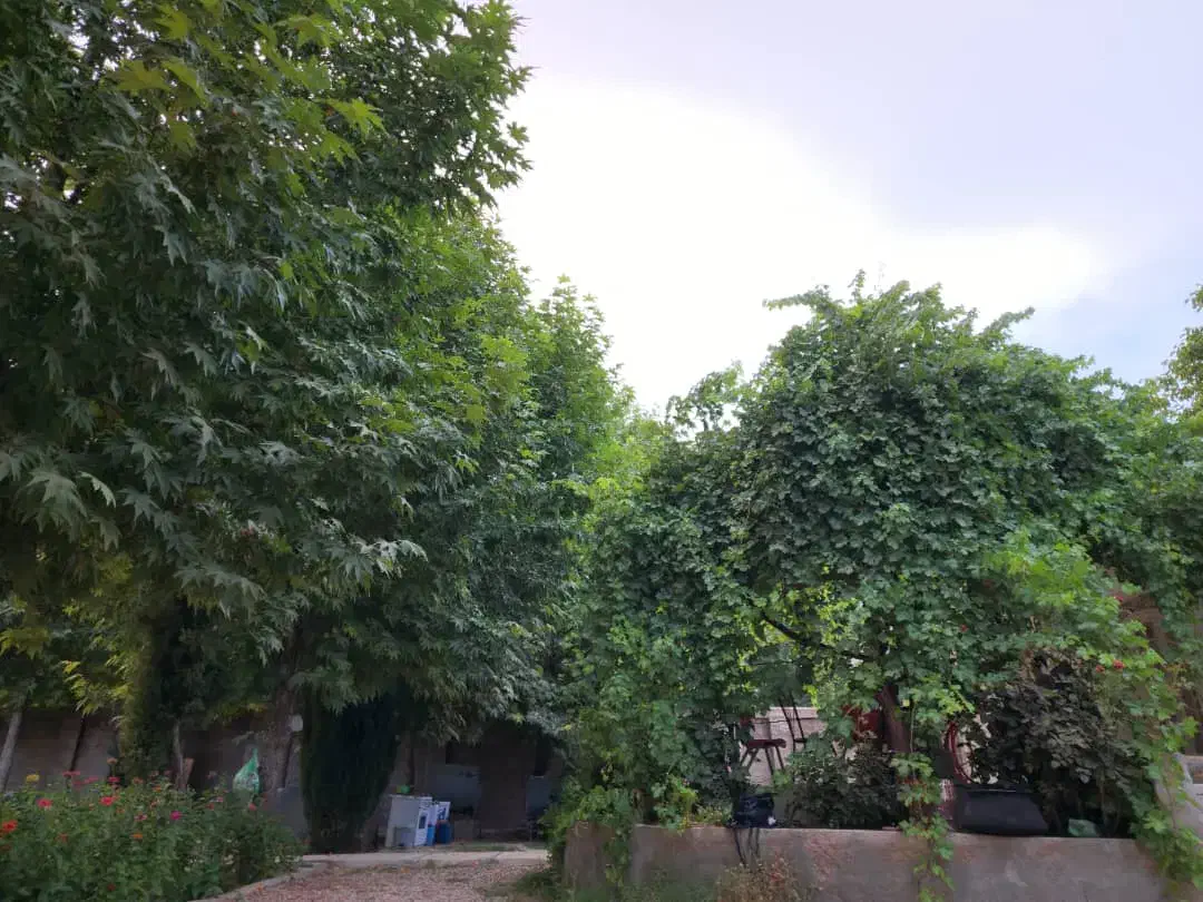 فروش یا تهاتر باغشهری گودگویم|فروش خانه و ویلا|شیراز, گویم|دیوار