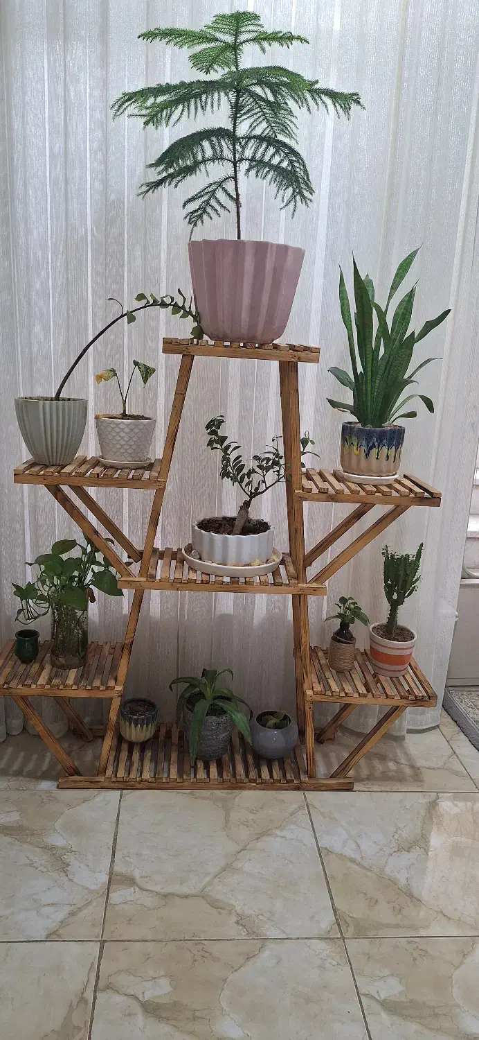 استندچوبی|کتابخانه، شلف، قفسههای دیواری|نجفآباد, ۲۲ بهمن|دیوار