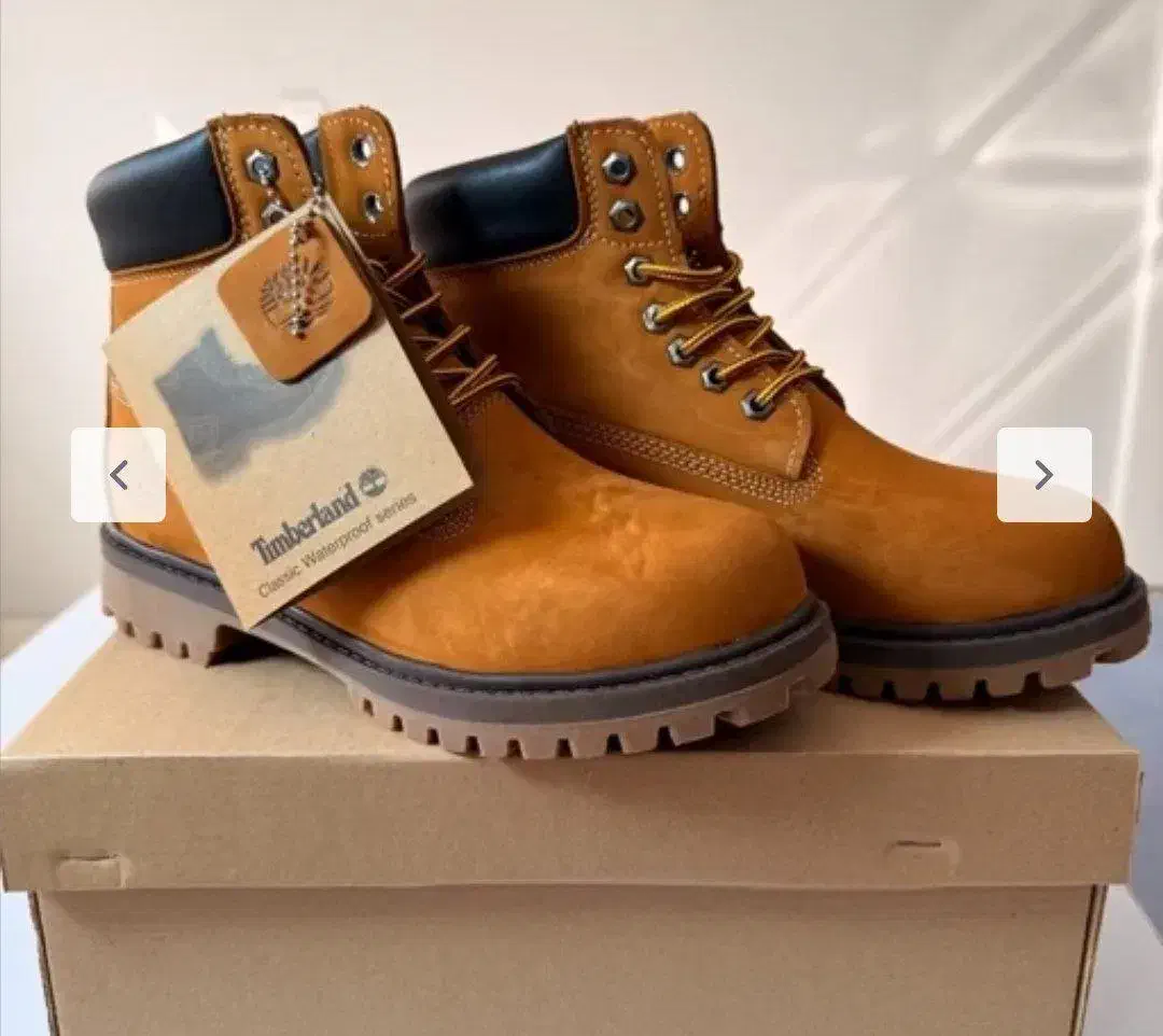 بوت تیمبرلند|کیف، کفش، کمربند|شیراز, دینکان|دیوار